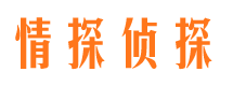 振安外遇调查取证